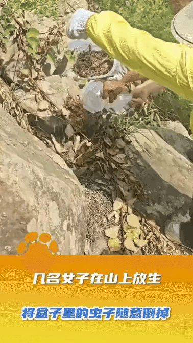 这简直就是当间谍的行为啊。