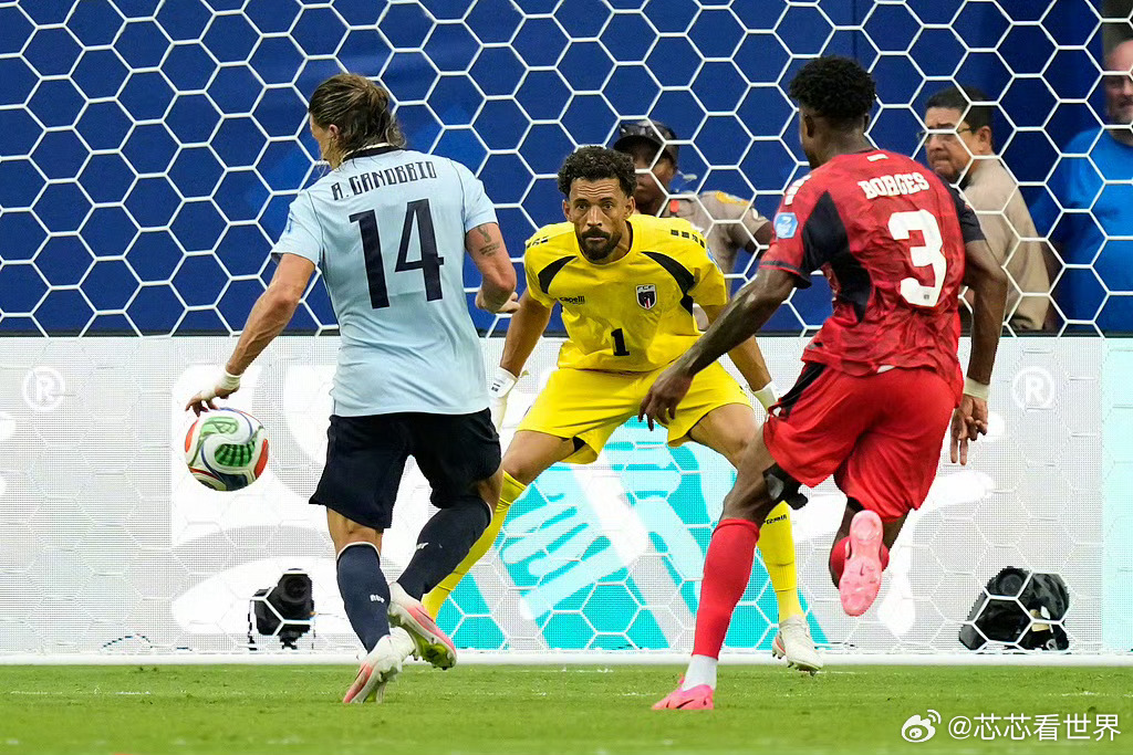 大神猜中世界杯31强概率仅1.81亿分之一世界杯天选锦鲤诞生世界杯预测猜球人机大
