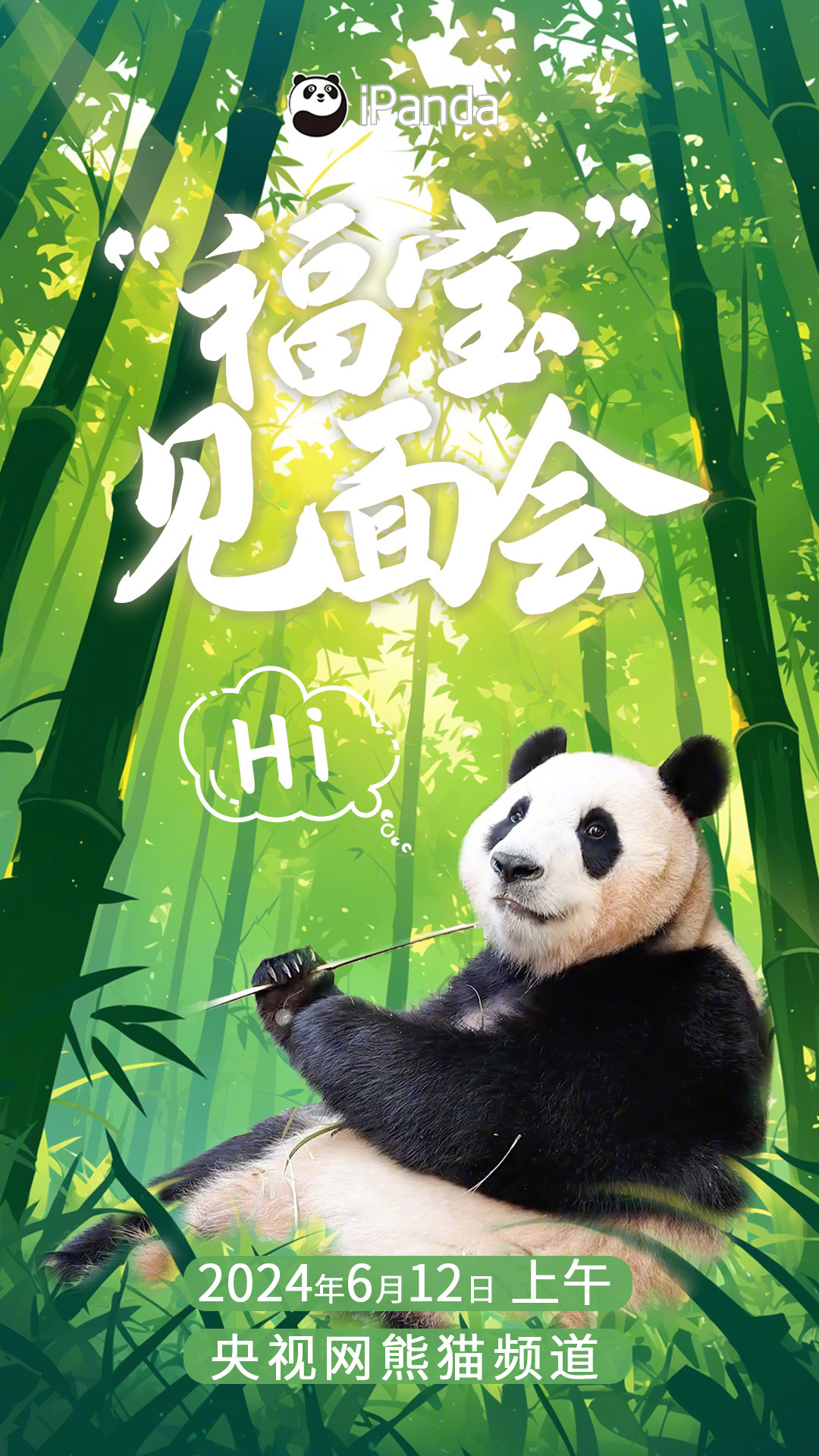 【万众期待！#明天就见到福宝啦#[抱一抱]】6月12日上午，大熊猫“福宝”将在卧