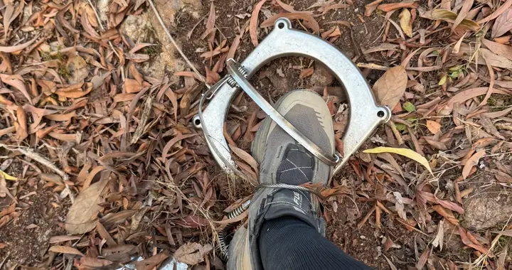 广州市民徒步白云山踩中捕兽夹，越挣扎夹得越紧，导致脚部血流不畅，几分钟内便感到发麻！景区回应：景区内