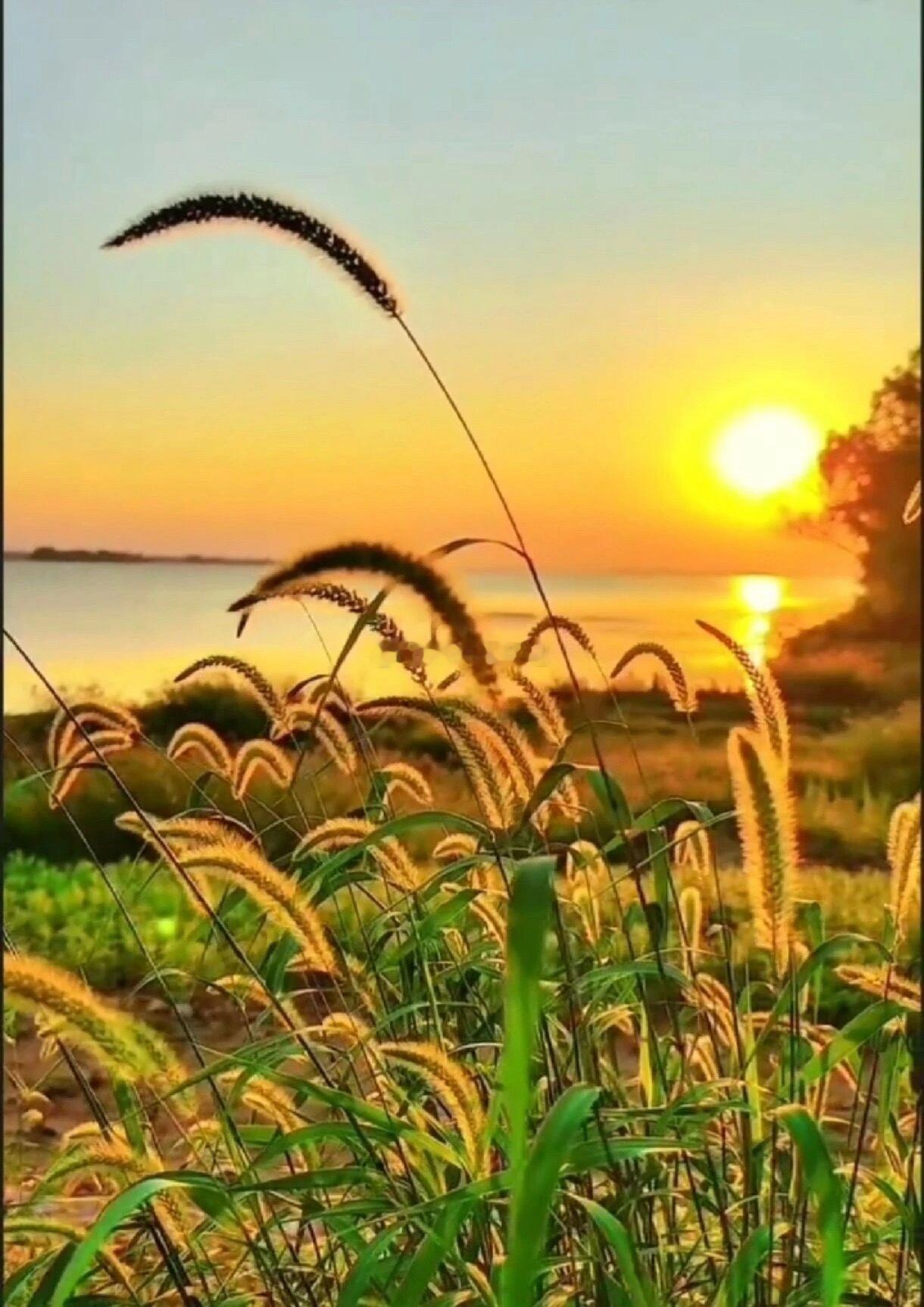 注意，美元贬值交易！今天收盘之后，注意到两个消息：一是现货黄金价格涨1.76%，