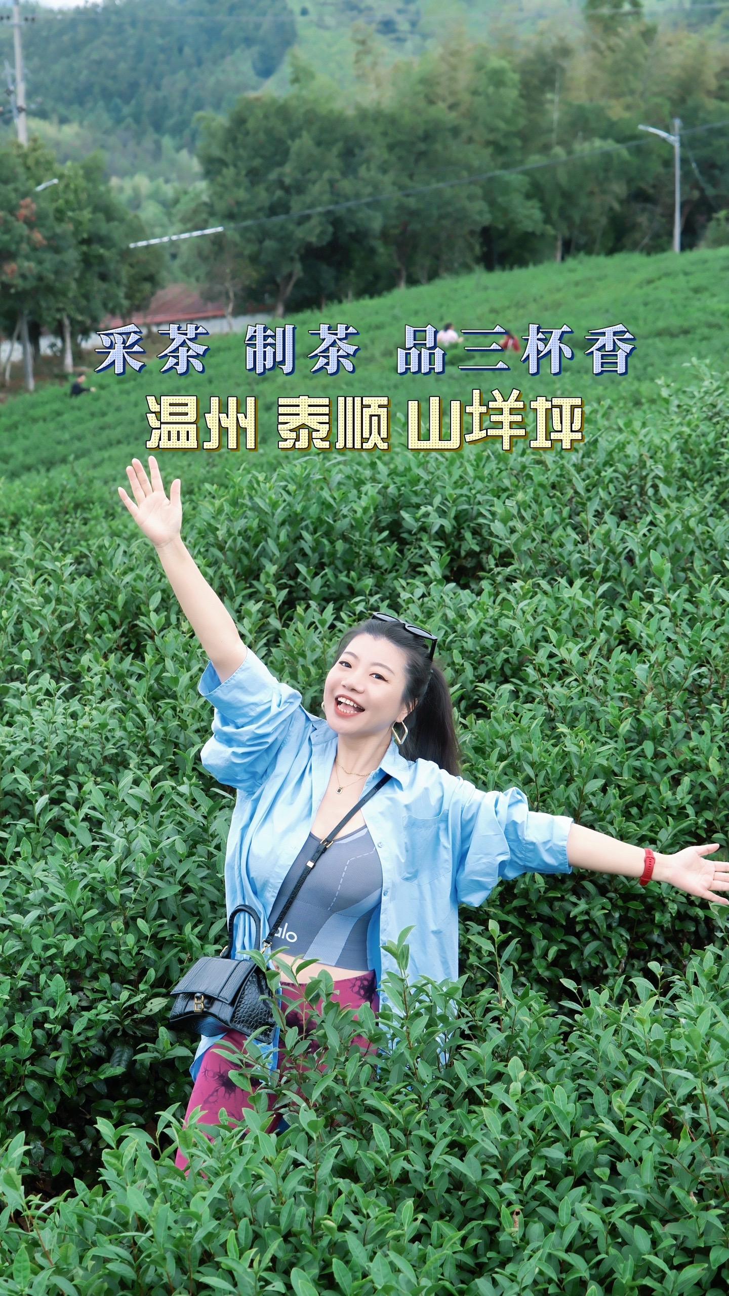 南方有嘉木，泰顺出好茶。泰顺雨量充沛，气候温和，产茶条件得天独厚，在众...