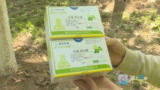 给杨树“打针绝育”？亳州这招真绝了！
 
每逢春夏，漫天杨絮钻口鼻、惹过敏，还藏