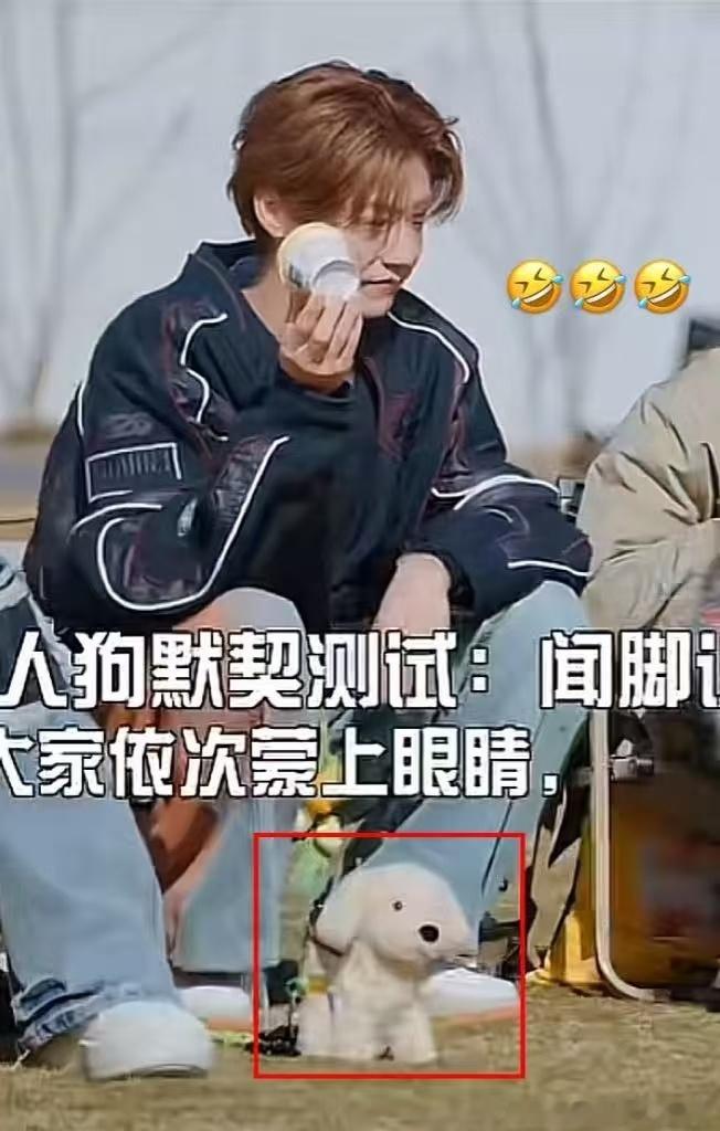 李小冉陈乔恩选队友，问大家都是什么狗。鹿晗一脸认真地回答：我是小鹿犬～ 萌翻了！
