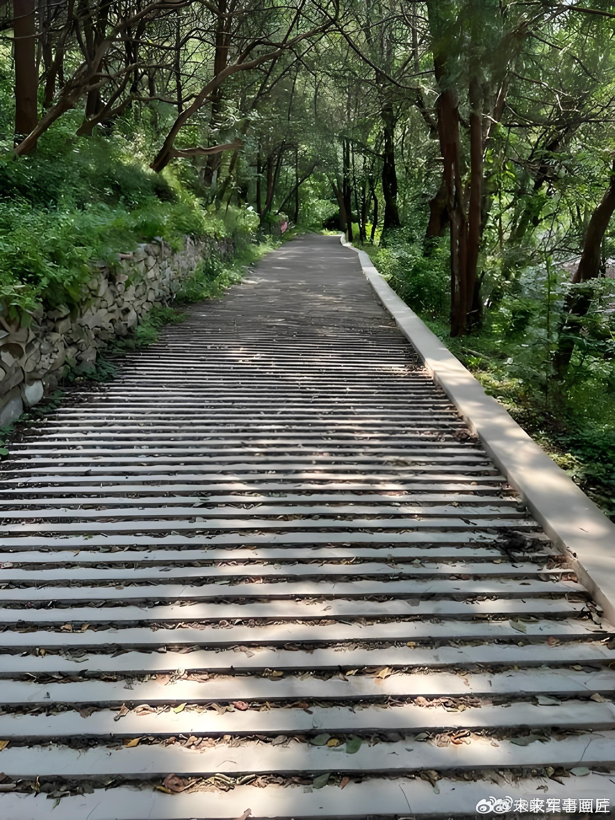 这是下台阶还是上台阶呢？ 