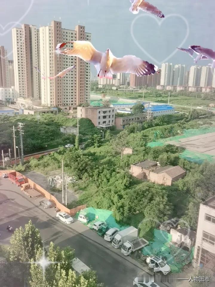 秋日生活打卡季