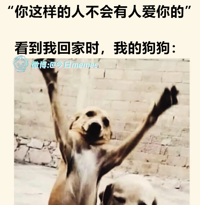 爸爸抱（9gag）今日meme今日memes