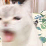 桂溪侃体育