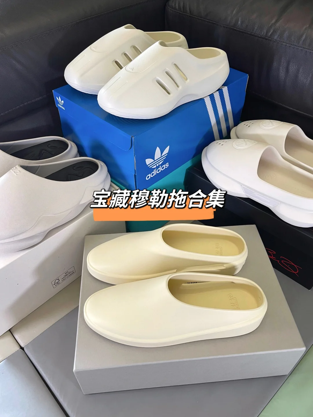 宝藏合集｜穆勒拖分享