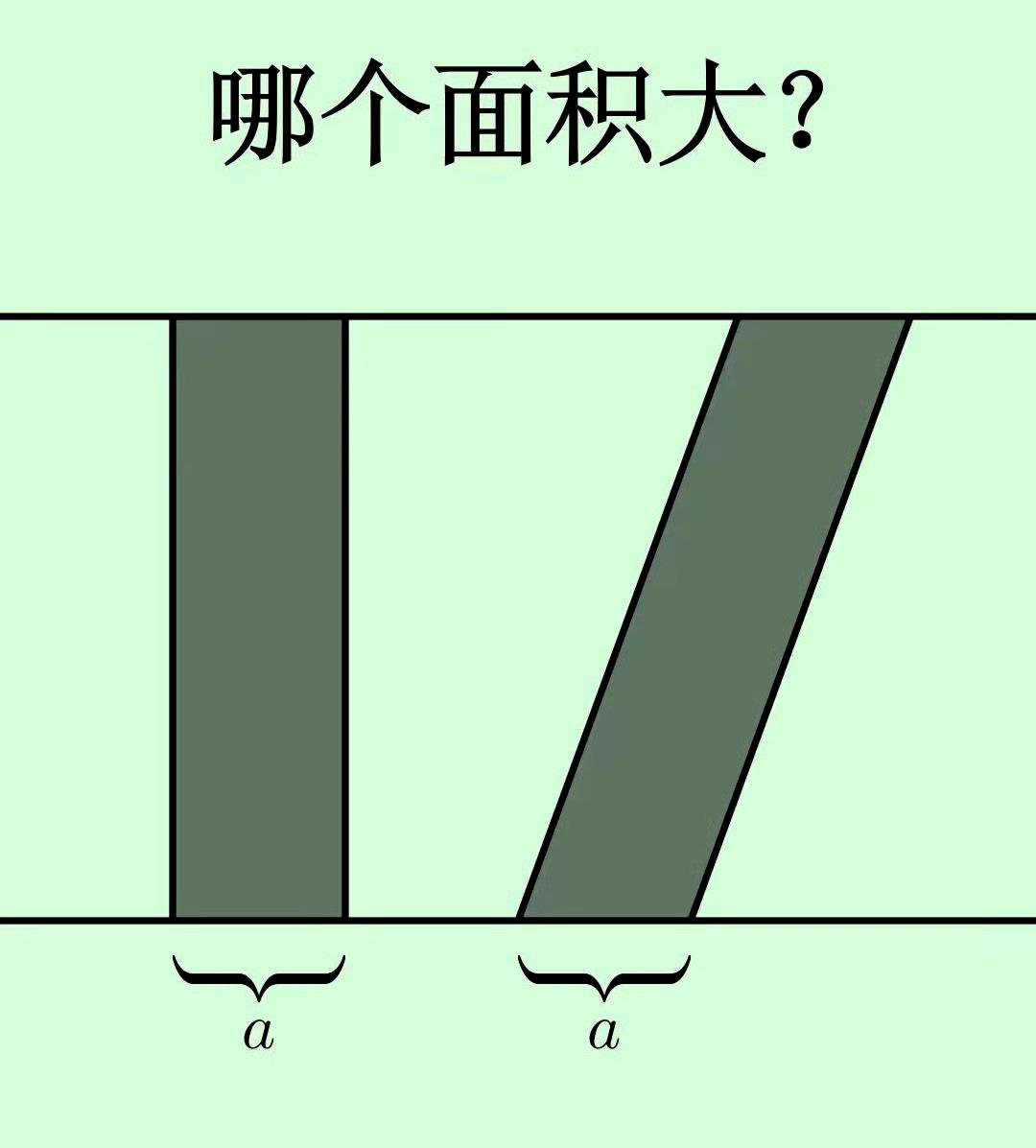 哪个面积大？