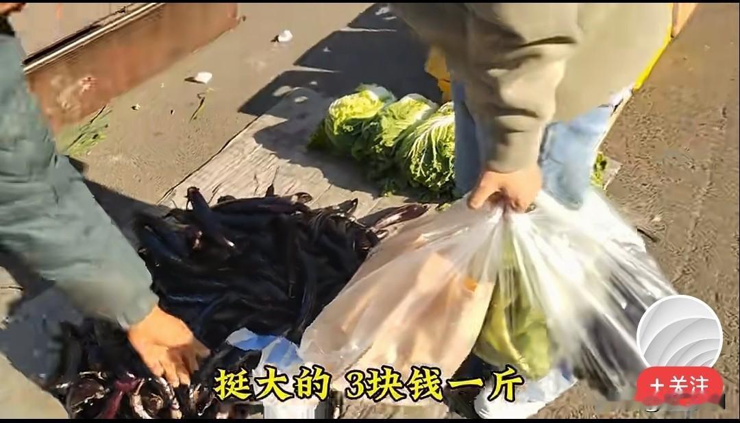香菜3.5元一斤也不贵，东北的香菜特有香味，香菜蘸酱好吃，油豆3.5元一斤，东北