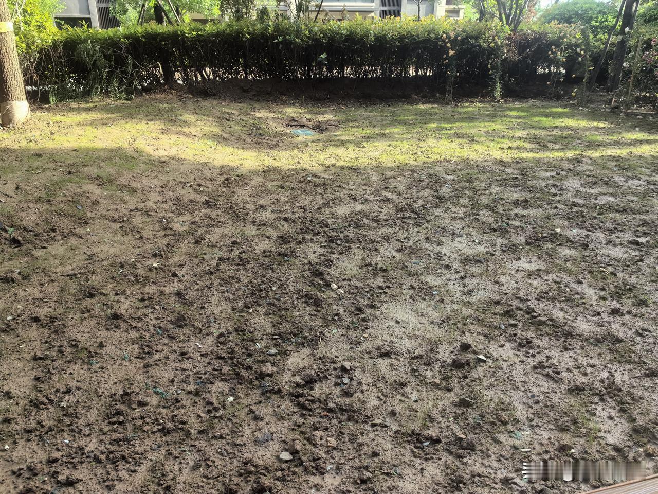 坐在后院里，看孩子他爹前几日种下的草，想起了我们河南的名人之一 ——韩愈。

远