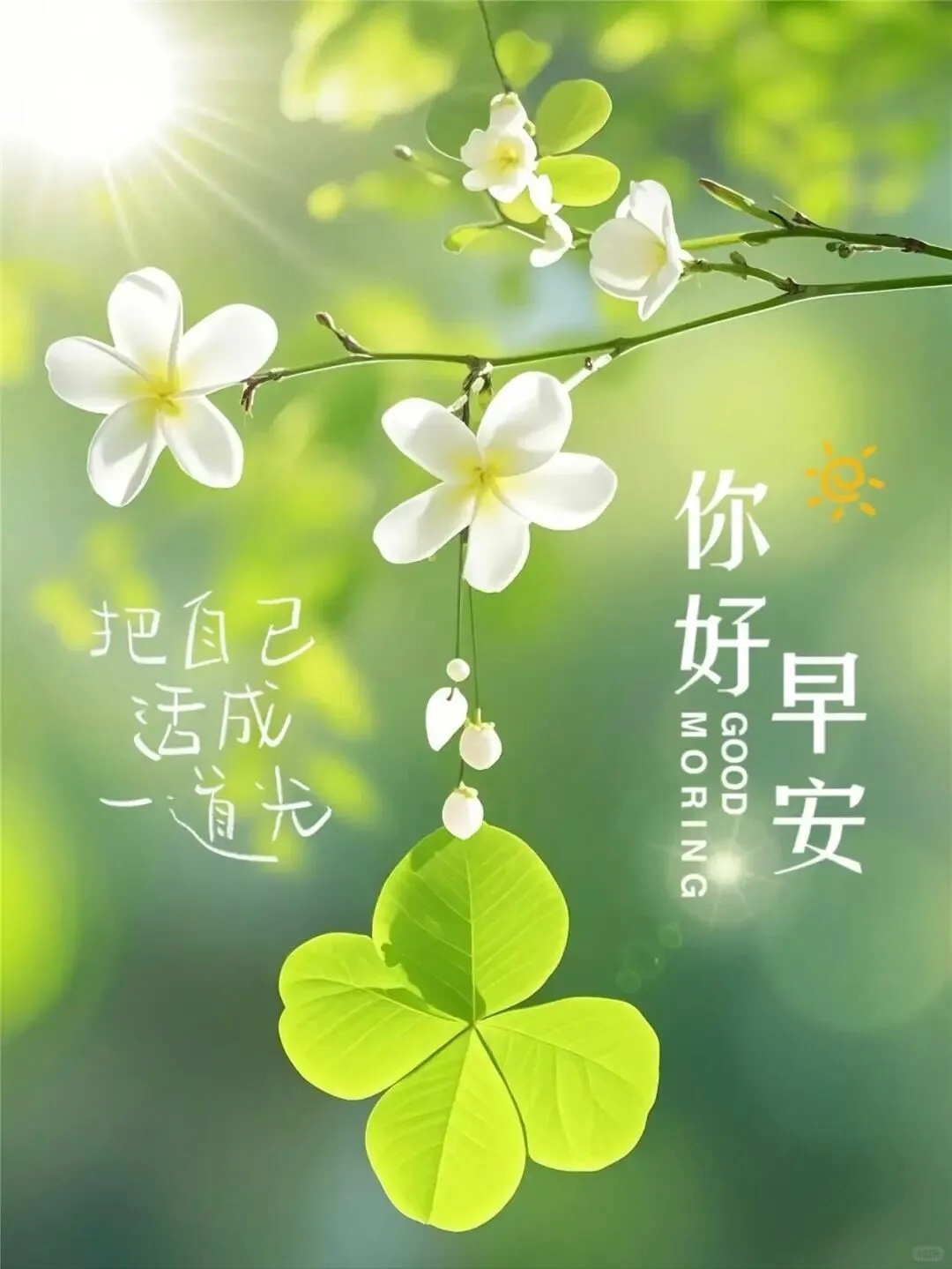 别人都在教你懂事，只有生活教你：先把自己哄高兴了，再谈其他。不必完美，但要真实；
