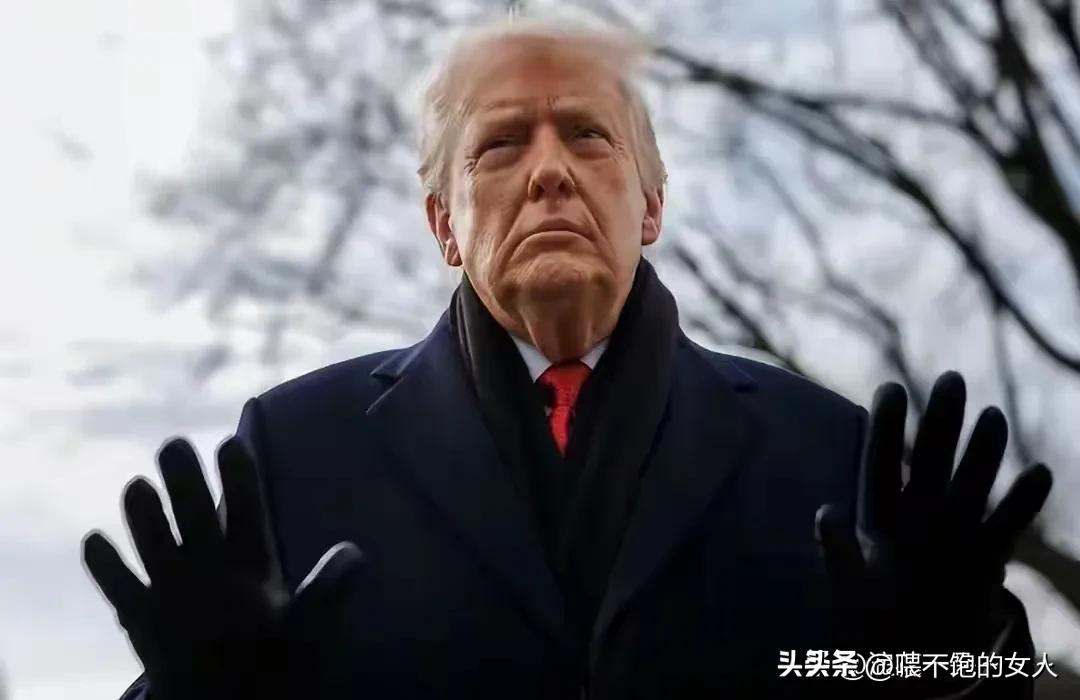 夜深了，大家别忘了，今天是特朗普80大寿啊，我看网上动静怎么不大呢？不是很多人在