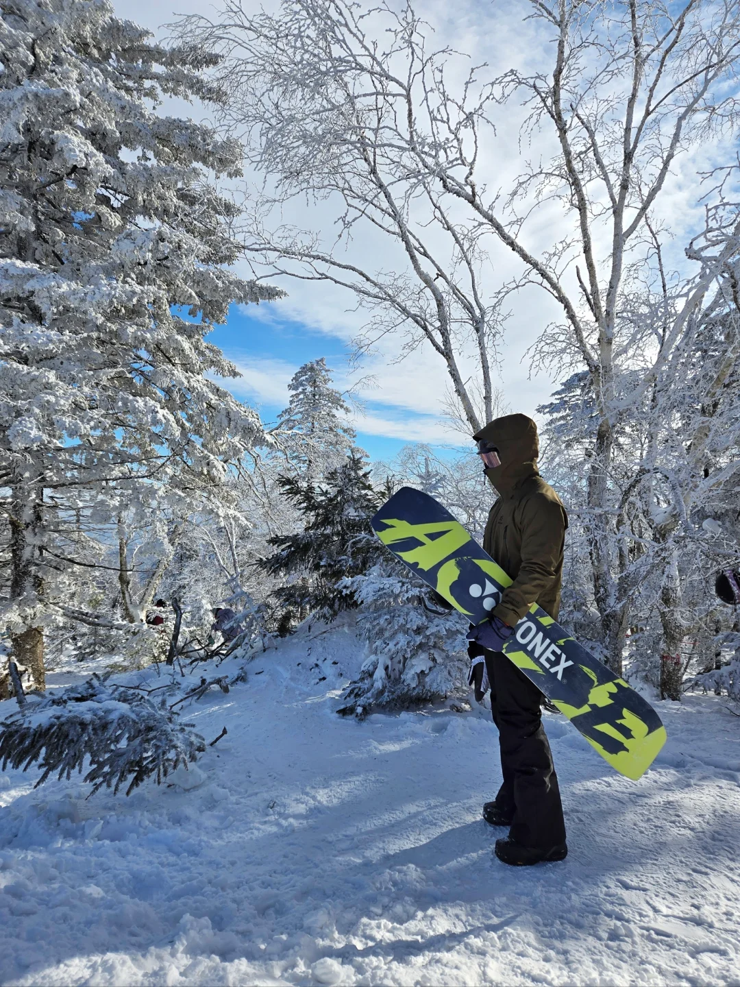 北大湖碰到小胖狐狸