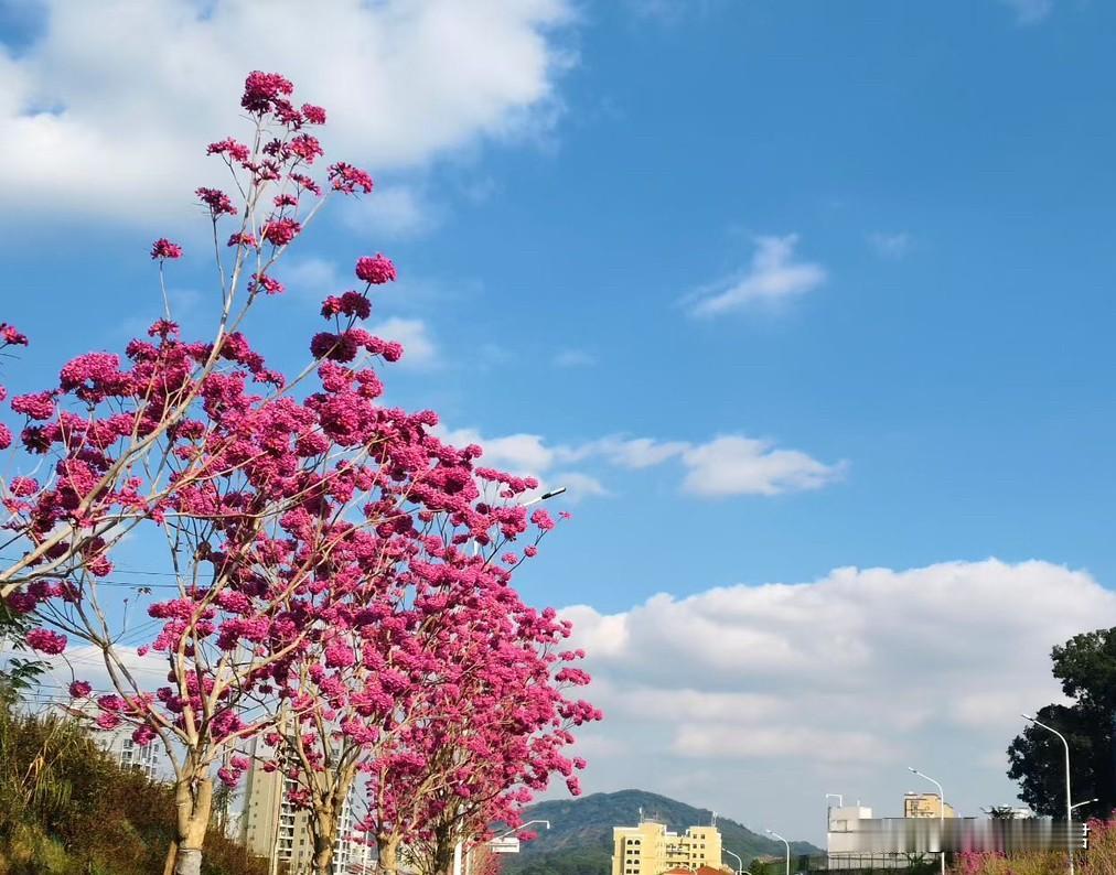 这当爸爸的对儿子干这种事情，确实不适合再抚养儿子。一男子，和前妻离婚，带着儿子一