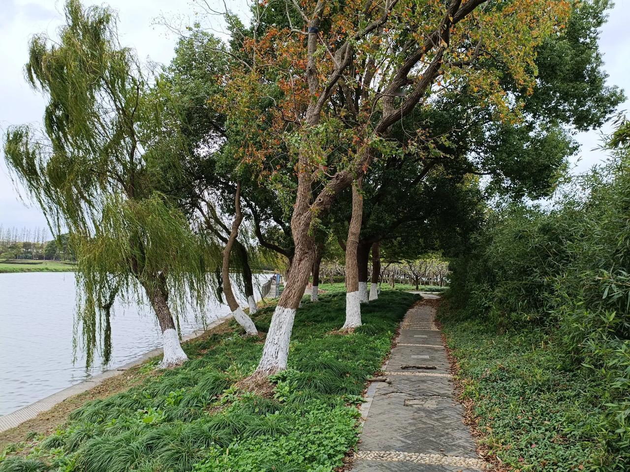 四点多钟醒来，怎么也睡不着了，直接打开手机翻头条。
想趁大家还没起来，万籁俱静的