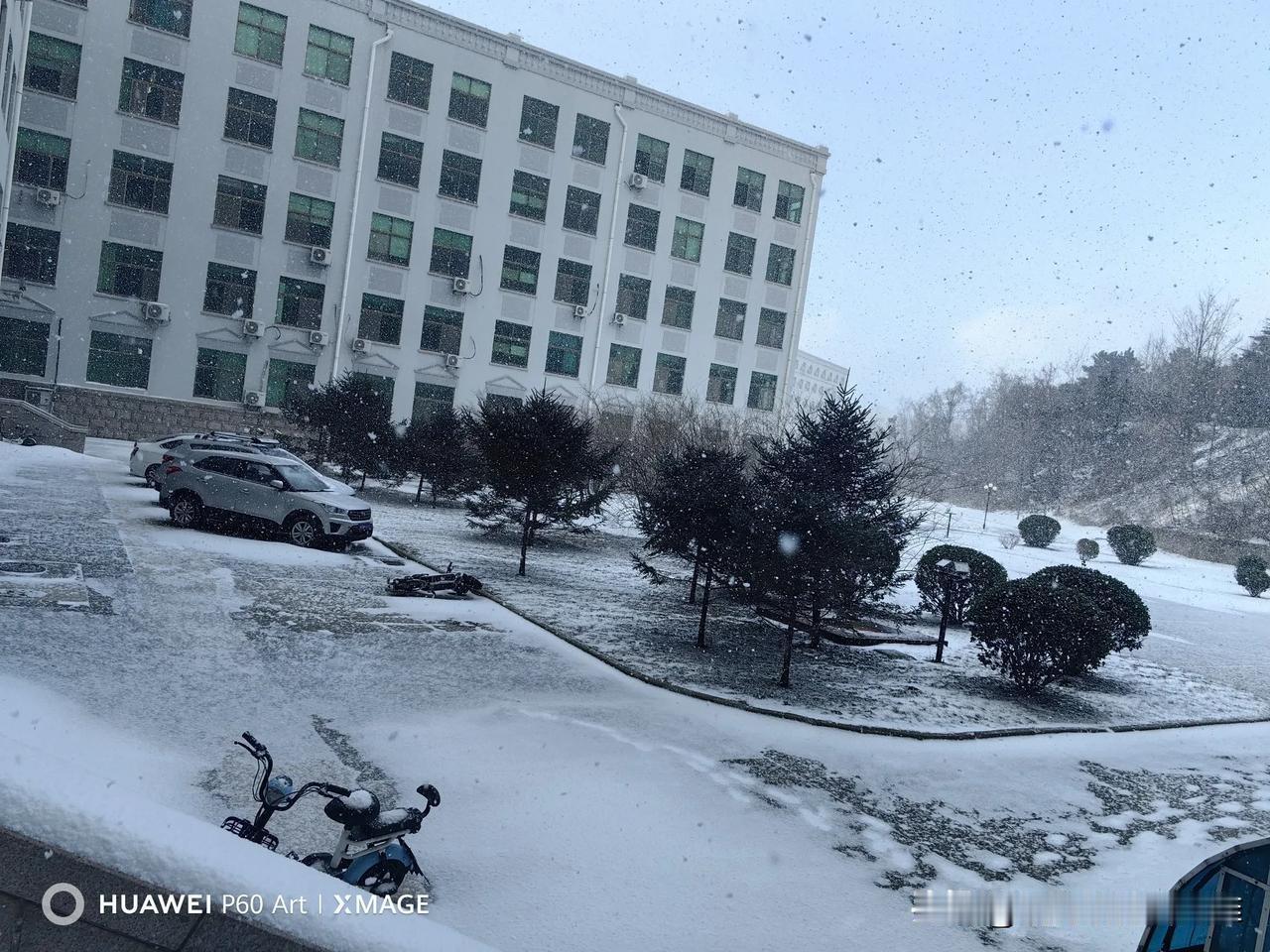 分享一张你手机里的雪景照片雪天雪地