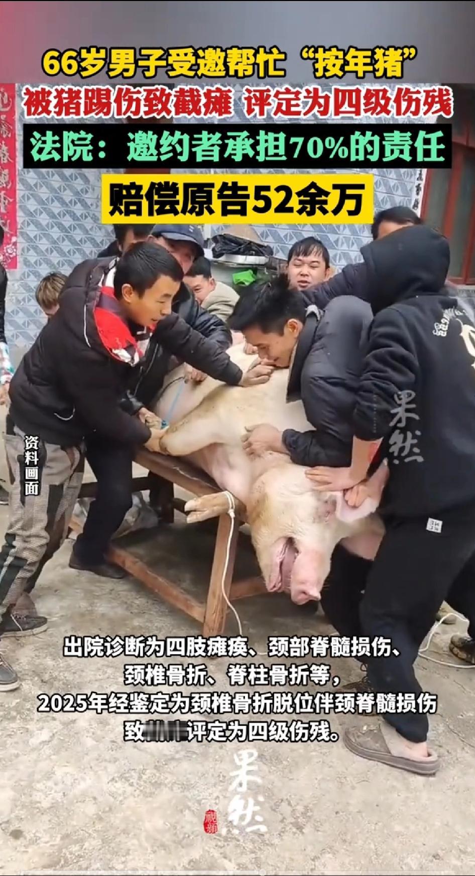 66岁男子受邀帮忙，“按年猪”被猪踢伤至瘫痪，评定为四级伤残。这个年龄还去按年猪