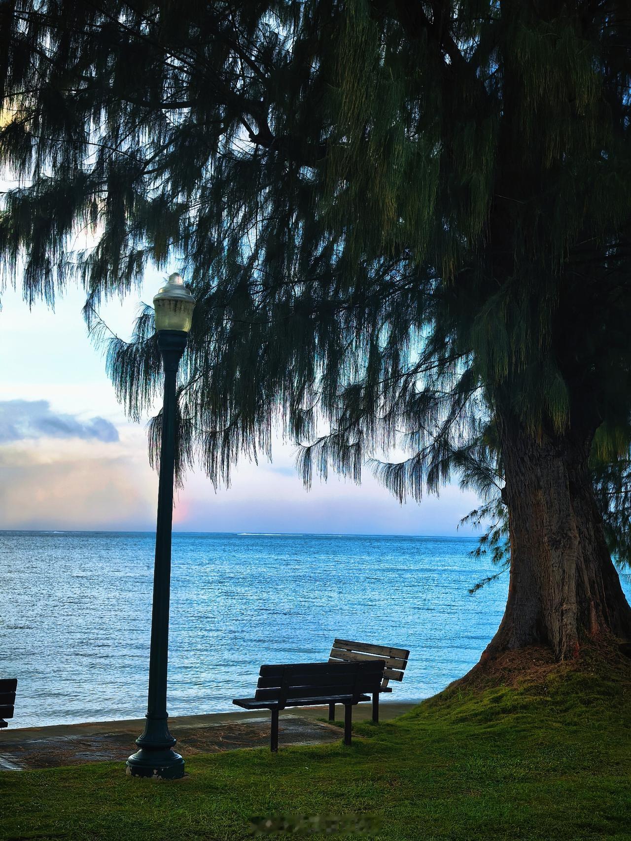 2026塞班马拉松 完赛！
也是我人生的第一次马拉松
Pain is tempo