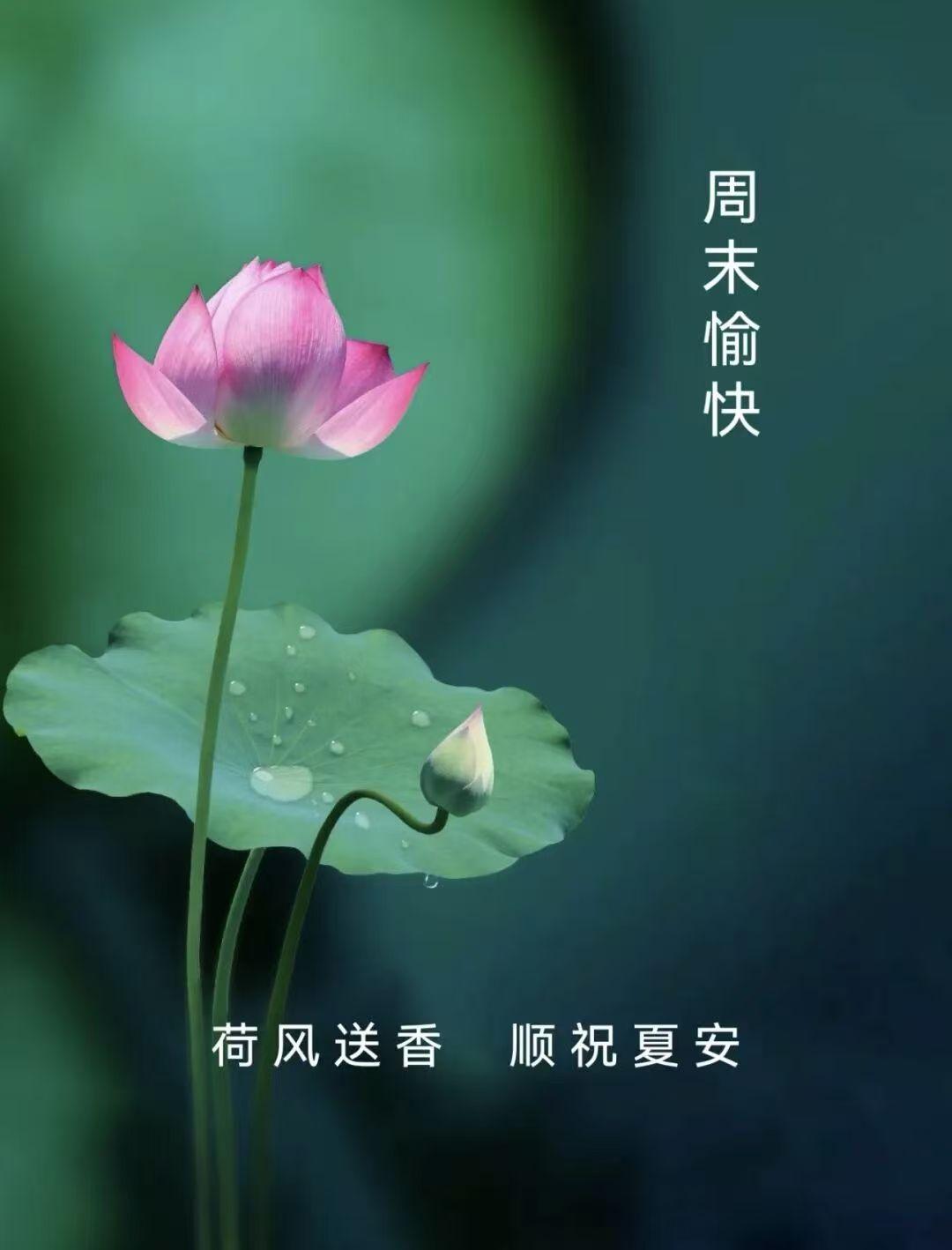 把出租费消费到极致！[赞][赞]楼上出租房被一高三女生租住，期间又养了一只小狗狗