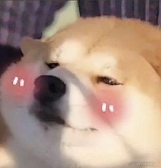 #40度外滩好像有1亿人citywalk#在40度的烈日下，外滩仿佛变成了一个巨