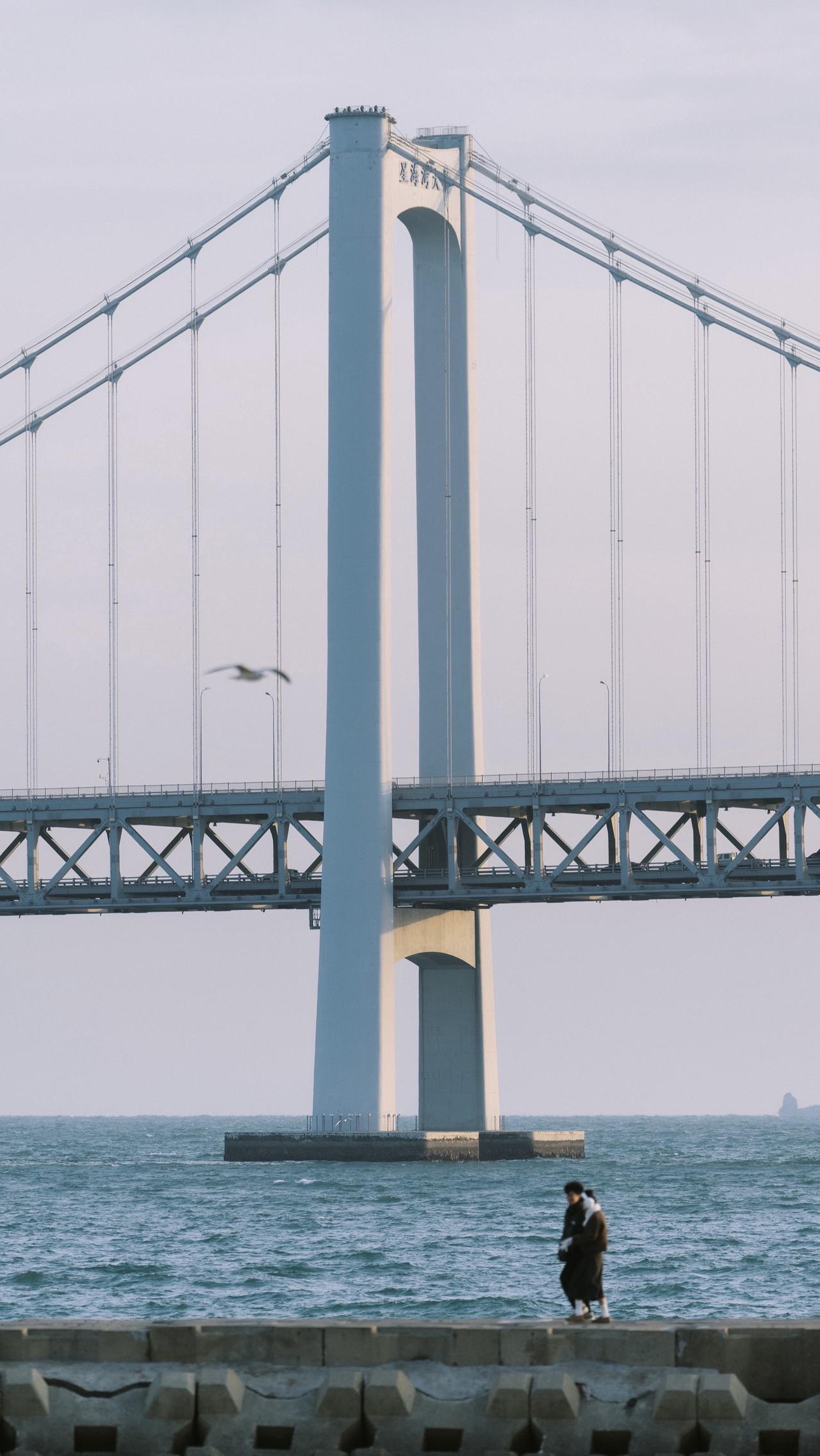 离开大连像失恋一样难受~