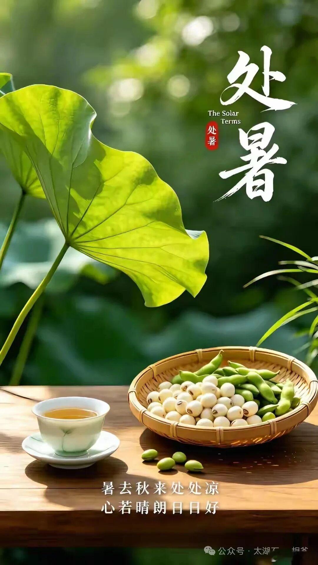 脚步不能达到的地方，眼光可以到达；眼光不能到达的地方，精神可以飞到。      