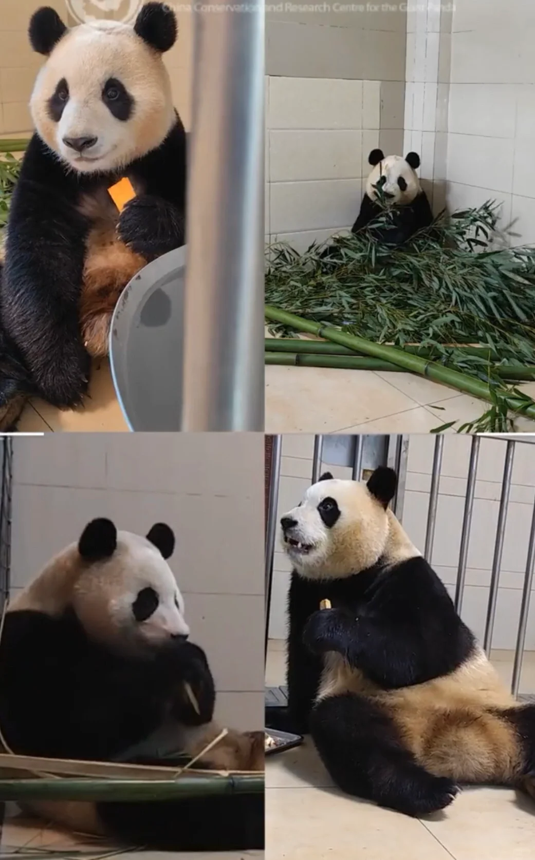 我家宝宝真的太棒啦🤭太想她了😭