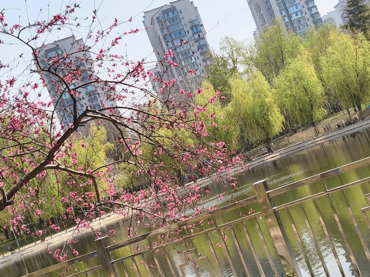 人到中年才懂：最好的养生，不是吃燕窝虫草，而是这4件“小事”！
 
年轻时肆意挥