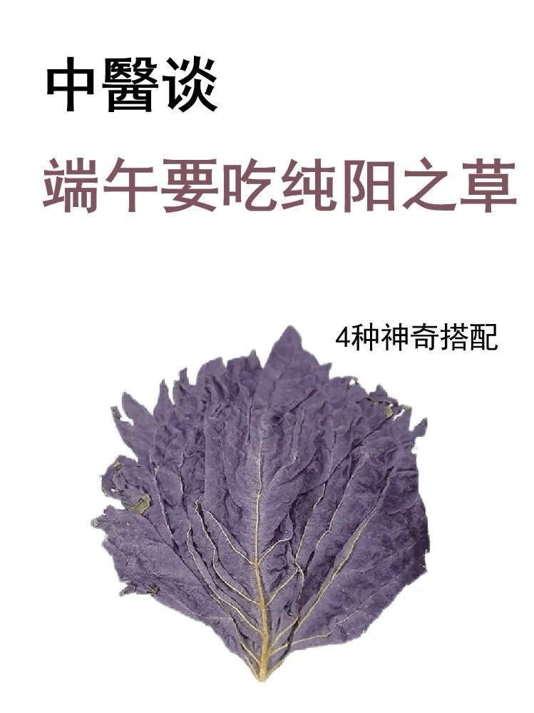 端午要吃纯阳之草！赶走湿寒《梦华录》里，赵娘子那壶🫖“紫苏饮子”，古称“紫苏熟