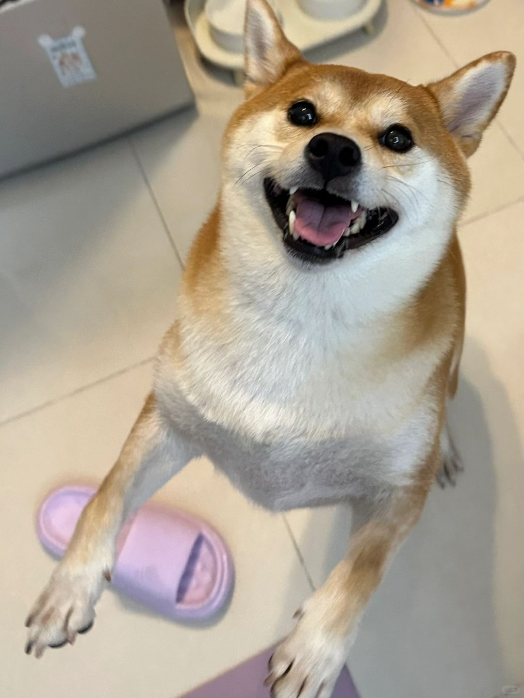 妈～你怎么才回来啊