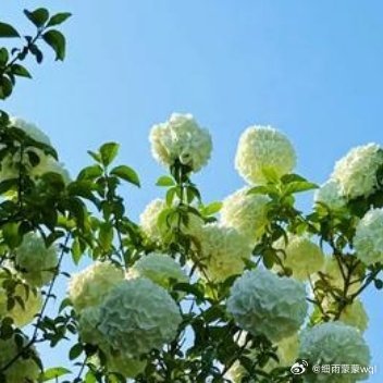 生活，不是这样，就是那样，总之不会是你想的那样。所以啊，一切顺其自然就好，早安，