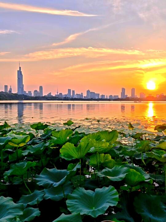 live图的意义｜我们会反复爱上夏天的南京