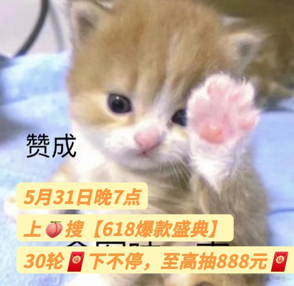 天猫618发新券现货低至73折沉浸式沉浸在好物福利中，心仪爆款齐聚一堂。5月31