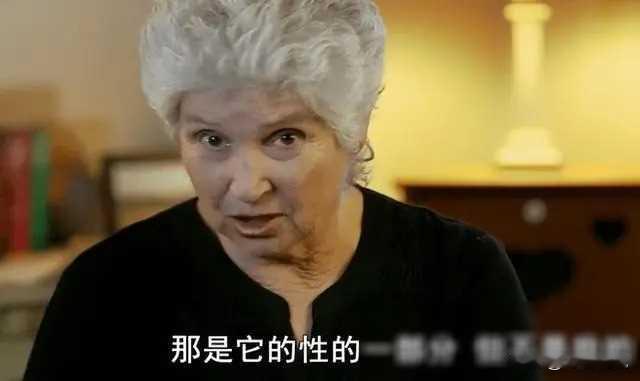 上世纪六十年代，美国一女子和公海豚成为了朋友关系，但不久后，人和海豚分手。悲痛欲