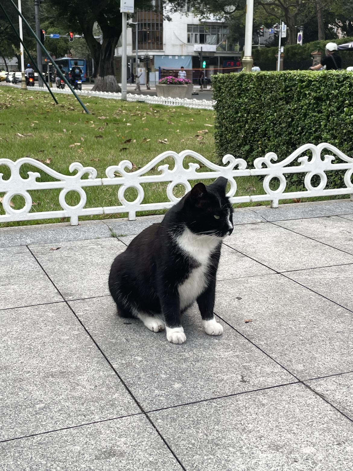 我的今日状态：😁轻松愉快
我这里的天气：🌤️多云