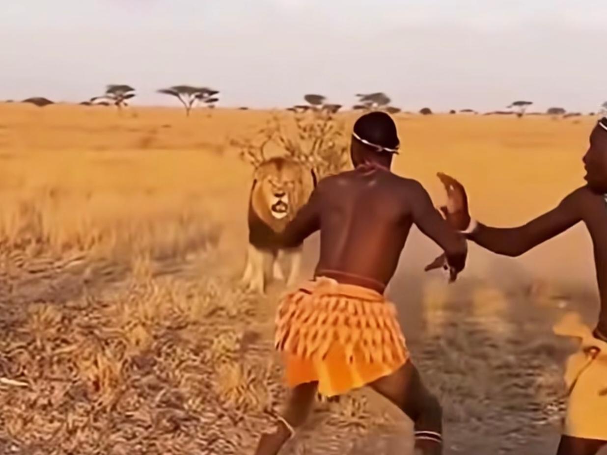 侄子问我为啥劝他多读书少看电视
我说如果我写一篇非洲土著狩猎的文章
你读完就会知