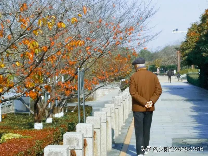 (暮年续)七律《自嘲》
半生劳碌半生痴，
转眼霜华满鬓丝。
功过是非皆看淡，
悲