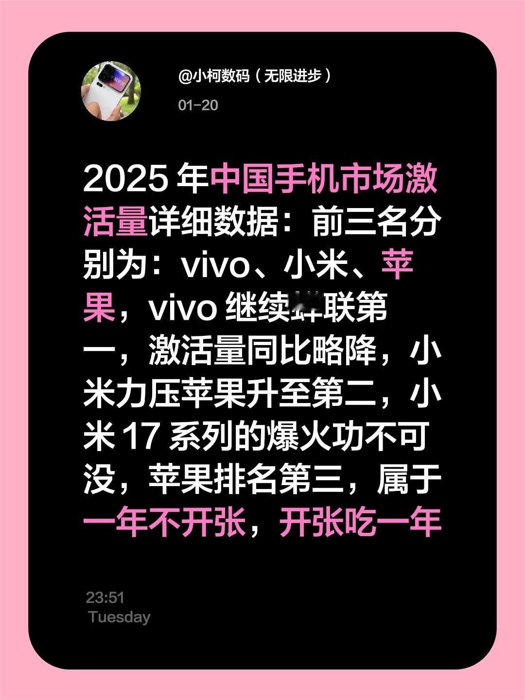 2025 年中国手机市场激活量详细数据：前三名分别为：vivo、小米、苹果，vi