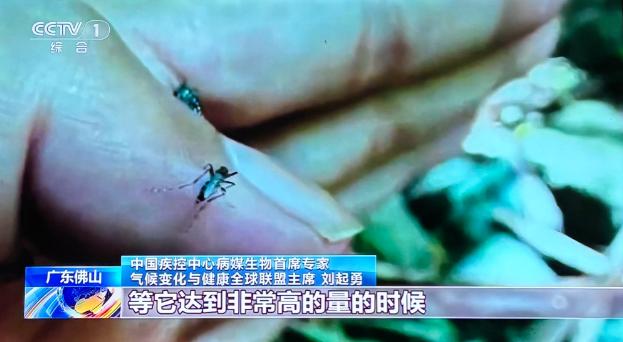 别不当回事！

这回蚊子携带病毒来势汹汹！

疾控中心最新数据显示
广东的基孔肯