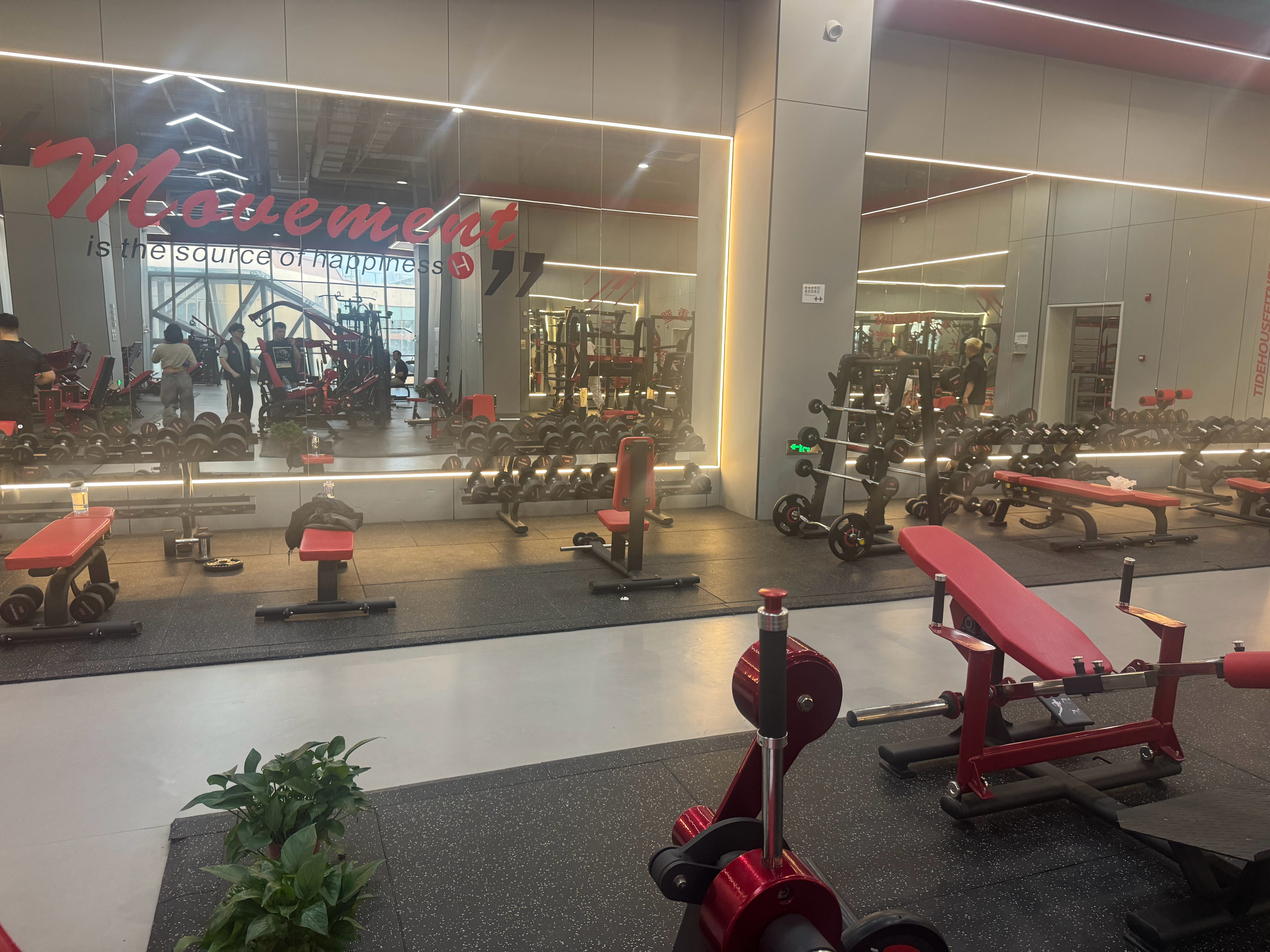 来嘛宝子们，一起练嘛？互相监督一下。 