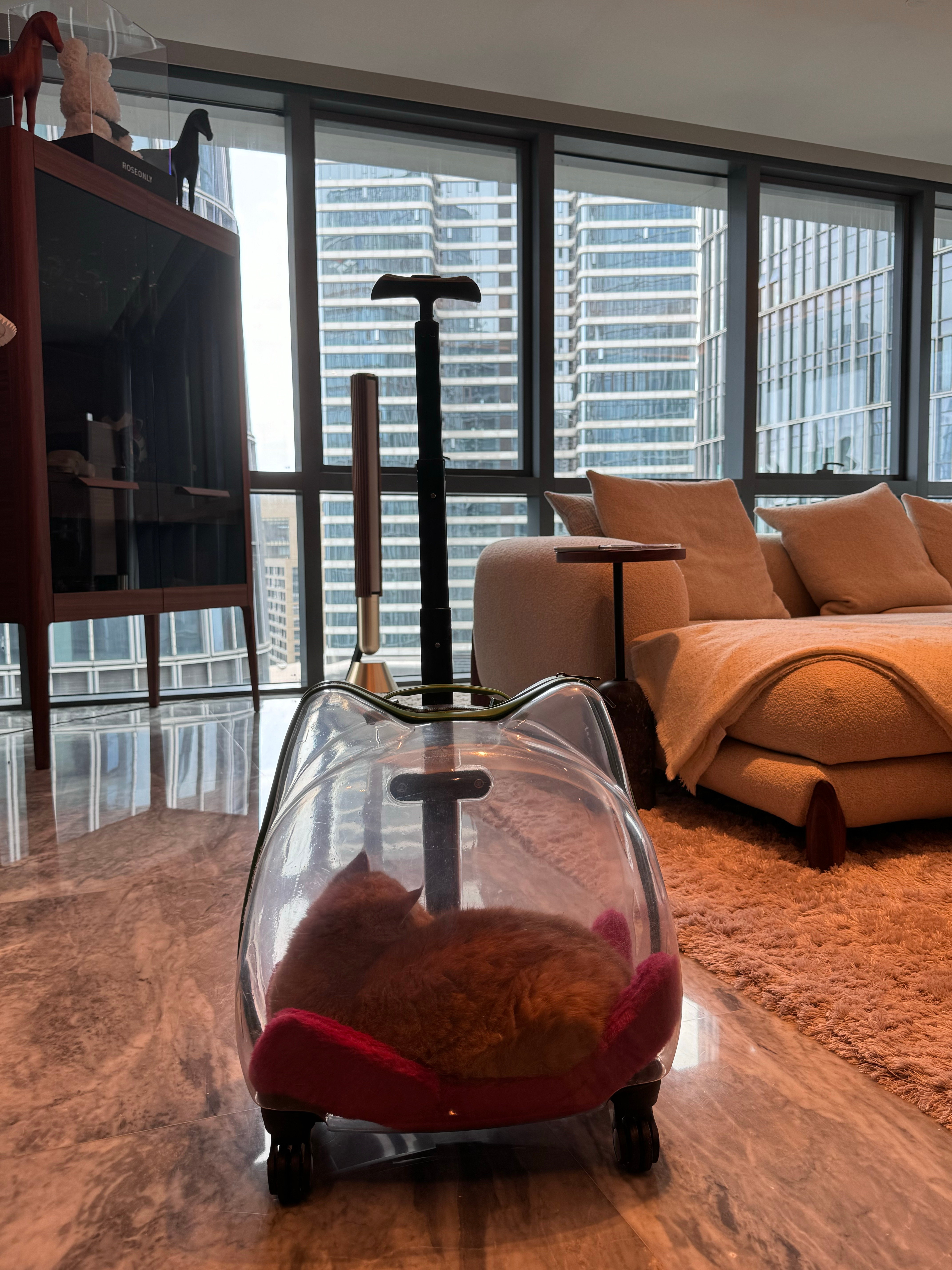 哈哈哈哈哈走你 ​​​