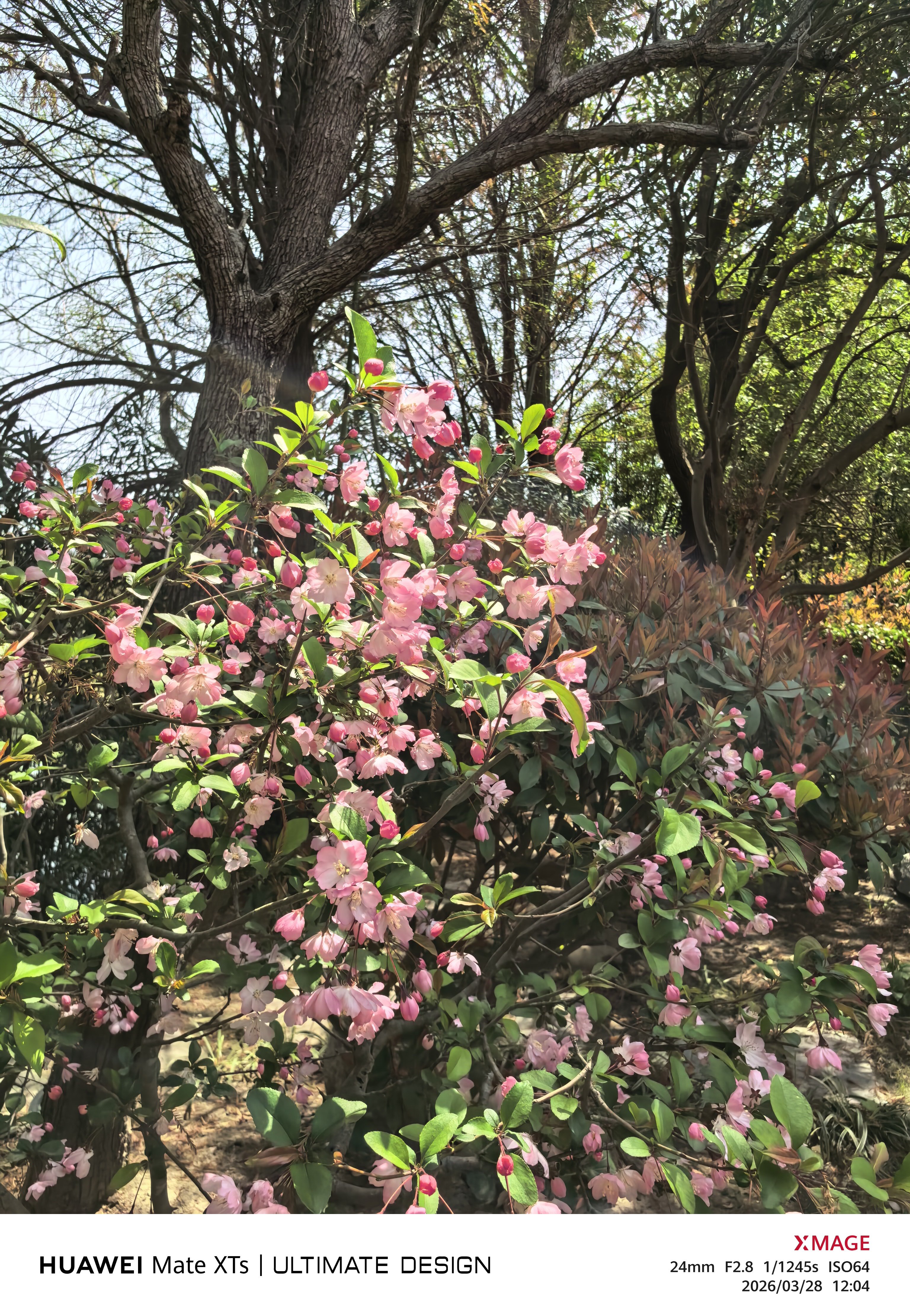 大家周末快乐！上海今天天气真的好 