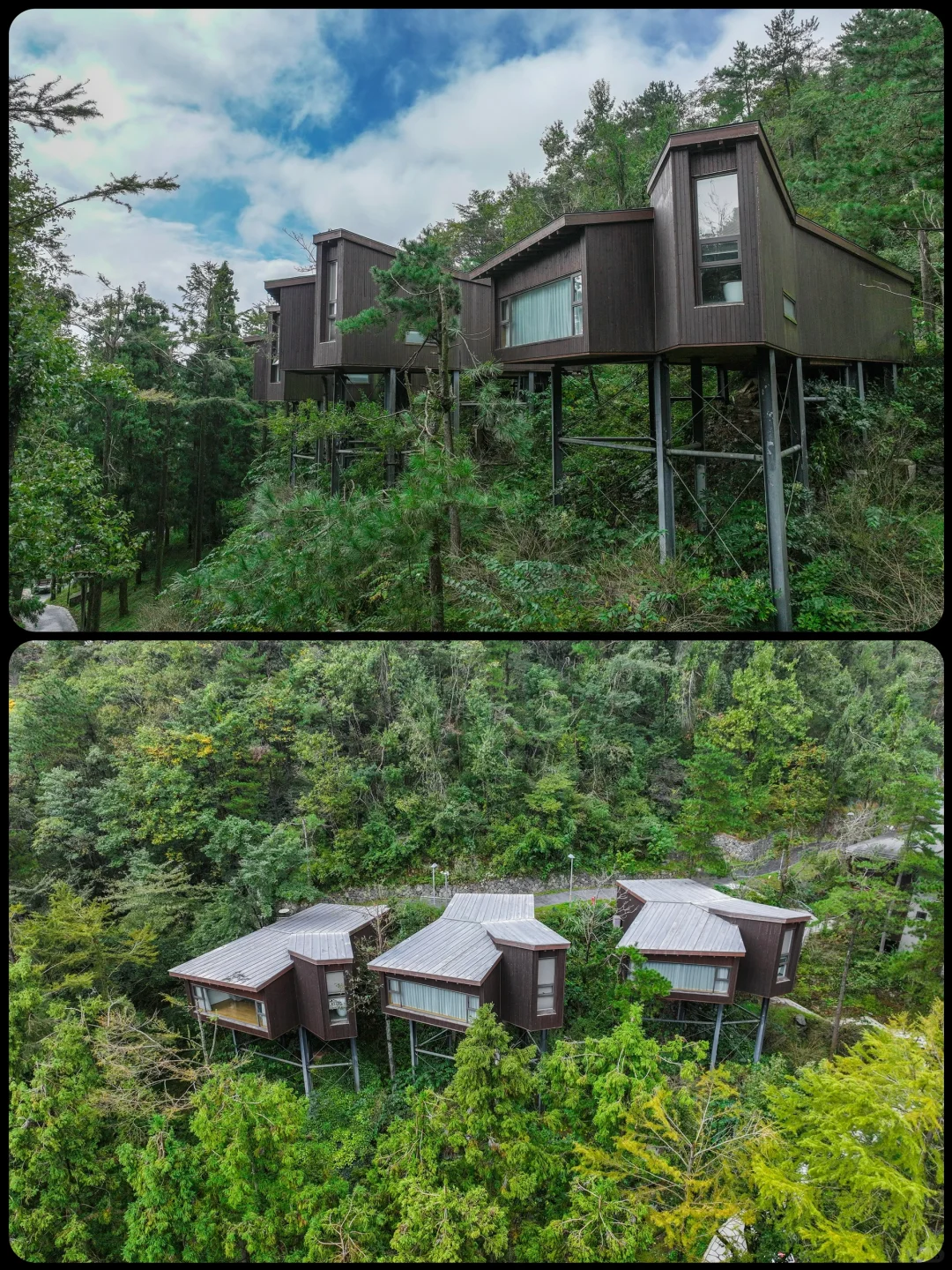 四明山初秋🍁这里藏了一整片秋日山野
