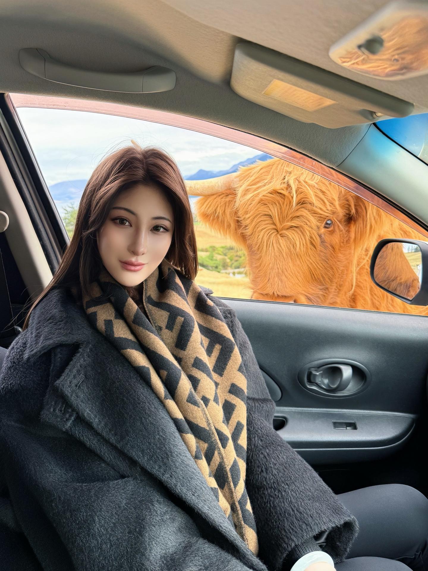 看到小鹿🦌小马🐴和刘海牛🐂的一天