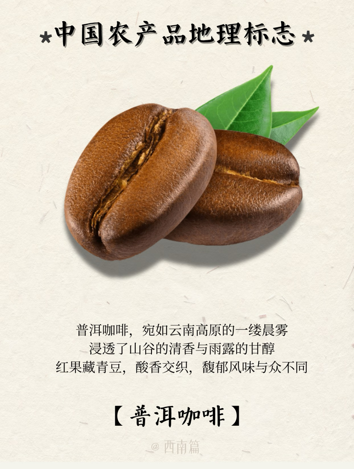 之前在云南普洱市出差的时候当地人告诉我说，他们生产的咖啡豆最好的都卖给星巴克了，