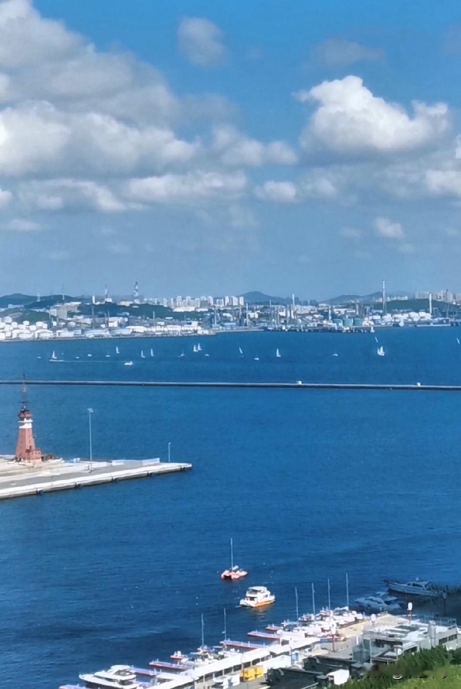 大连东港海面，千帆竞渡！

今天早上9月6日10点，在家里干活，一抬头看到窗外的