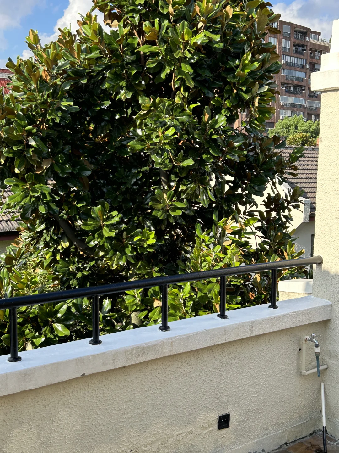和上海的夏天告别