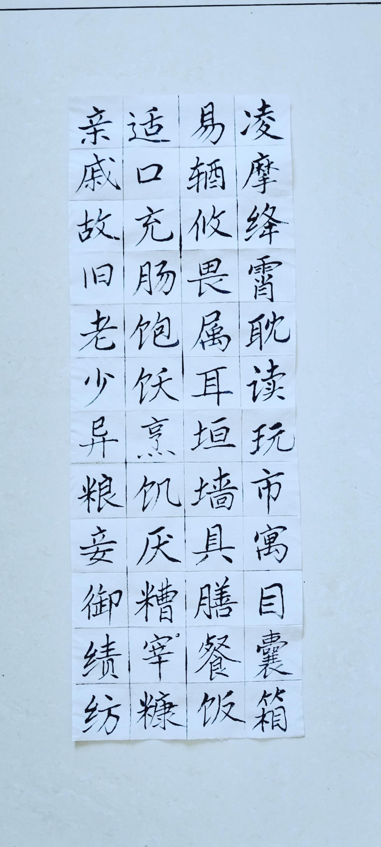 第六十二天《千字文》（17）正楷毛笔练习